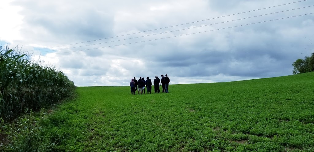 Truro Agromart Limited | 547 Onslow Rd, Upper Onslow, NS B6L 5L3, Canada | Phone: (902) 895-2857