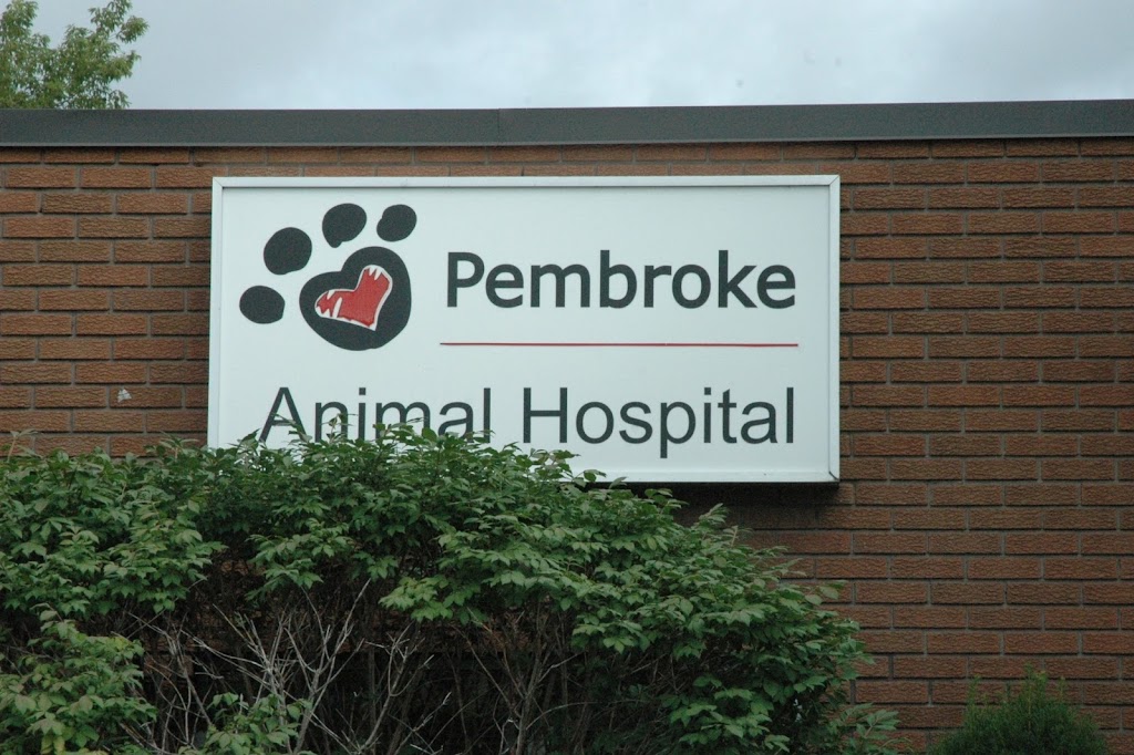 Pembroke Animal Hospital | 905 Pembroke St E, Pembroke, ON K8A 3M3, Canada | Phone: (613) 732-3641