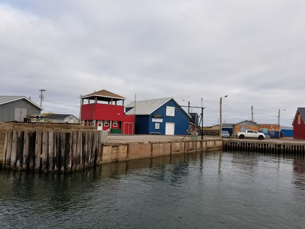 macneill’s tuna ,Deep sea fishing | 11 N Lake Harbour Rd, North Lake, PE C0A 2B0, Canada | Phone: (902) 969-8454
