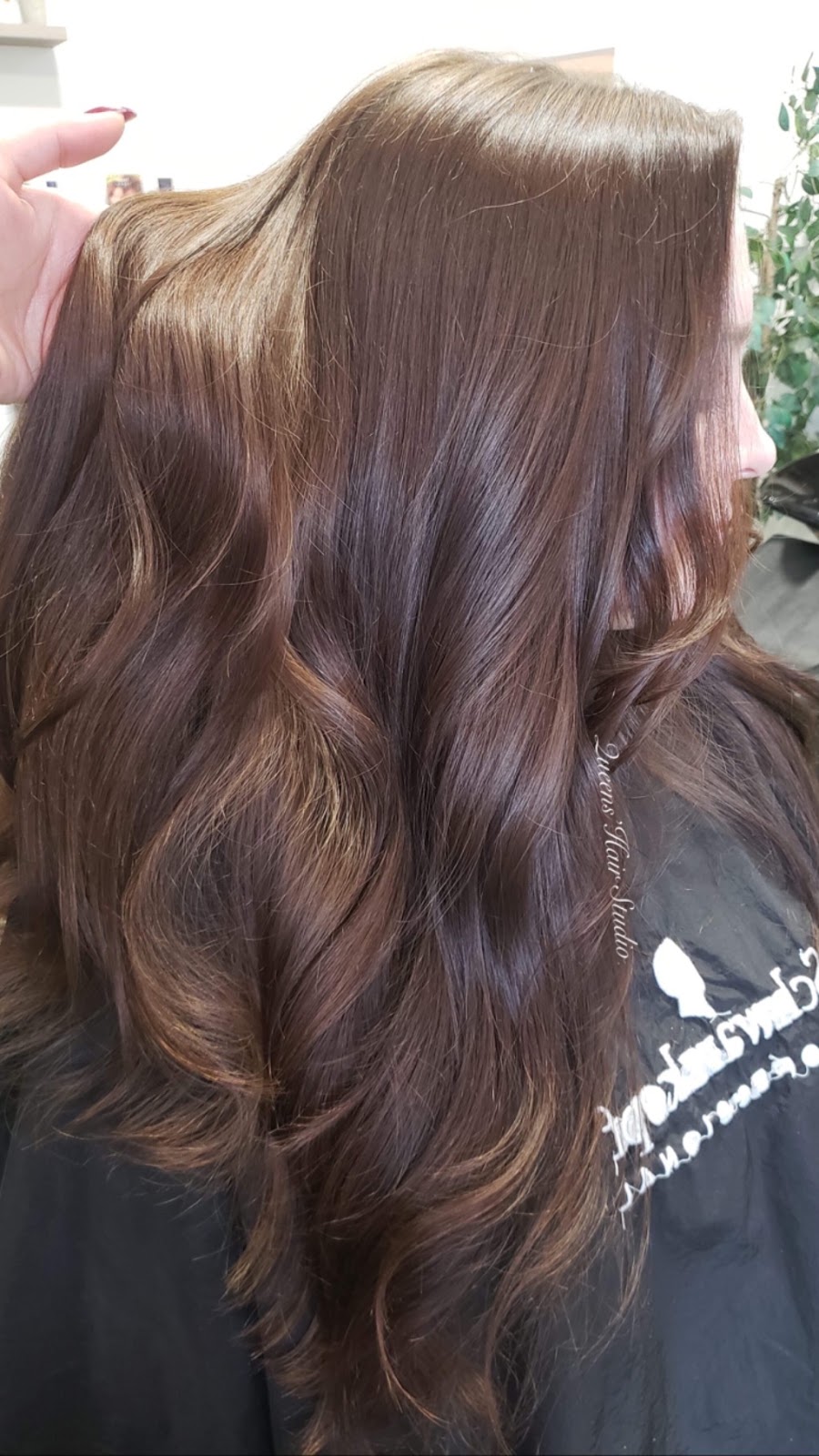 Queens Hair Studio | 4665 Hames Crescent, Regina, SK S4W 0B4, Canada | Phone: (306) 737-8490