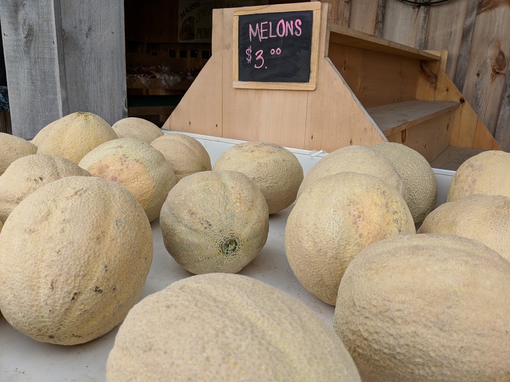 Masse Fruit and Vegetable | 35291 Zurich Hensall Rd, Zurich, ON N0M 2T0, Canada
