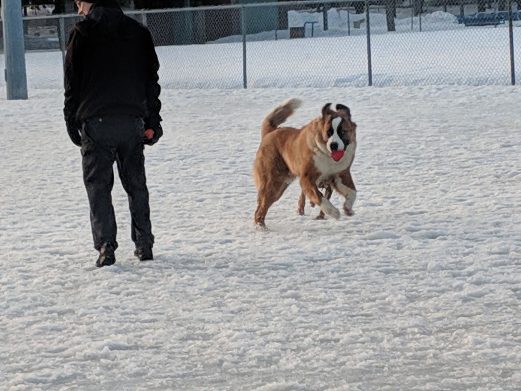 Dog Park | The Glebe, Ottawa, ON K1S 5N5, Canada