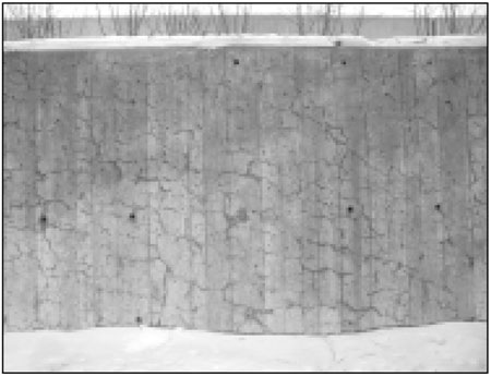 Robust Waterproofing Inc | 23 Woodbine St, Charlottetown, PE C1A 2X8, Canada | Phone: (902) 916-3392