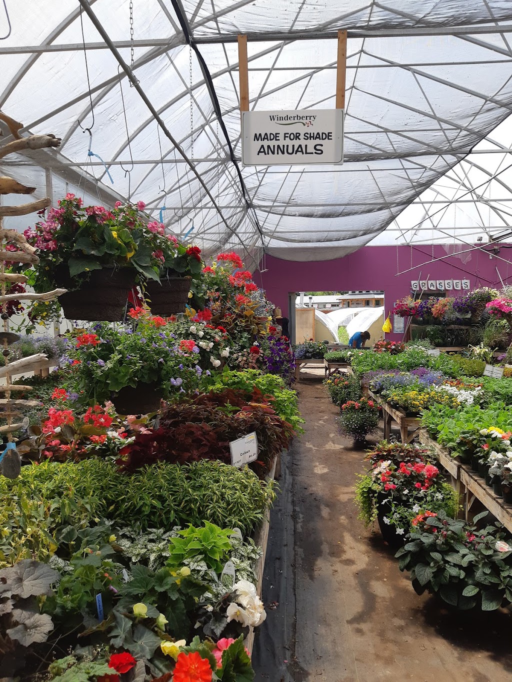 Winderberry and Edibles Farm+Cafe+Catering | 1681 BC-93, Windermere, BC V0B 2L2, Canada | Phone: (250) 342-3236