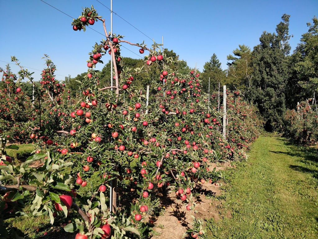 Cosman & Whidden Honey | 9925 Nova Scotia Trunk 1, Wolfville, NS B4P 2R2, Canada | Phone: (902) 542-9443