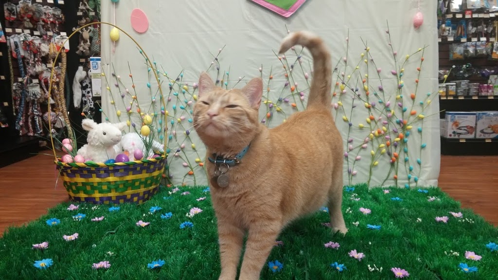 Pet Valu | 235 Guelph St, Georgetown, ON L7G 4A8, Canada | Phone: (905) 873-7407