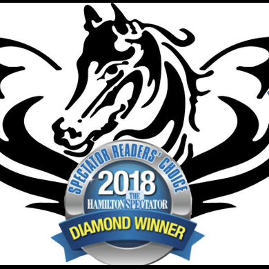 Golden Gate Equestrian | 3600 Golf Club Rd, Hannon, ON L0R 1P0, Canada | Phone: (289) 286-0180