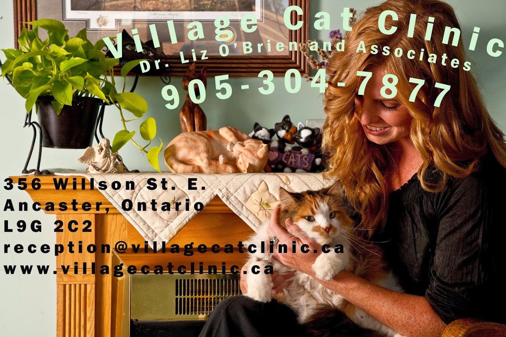 Village Cat Clinic | 356 Wilson St E, Ancaster, ON L9G 2C2, Canada | Phone: (905) 304-7877