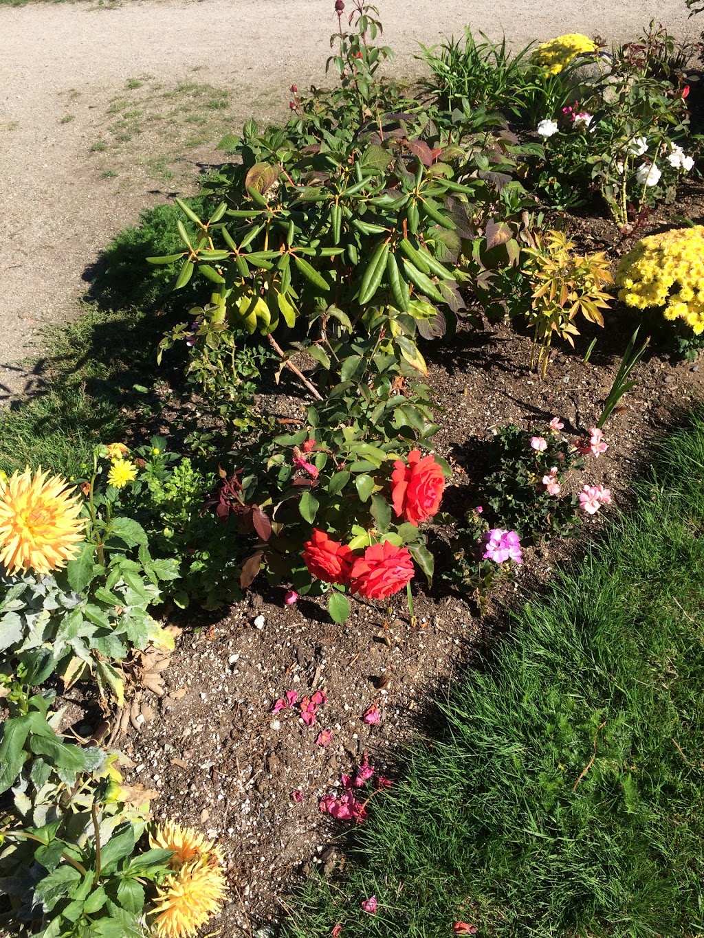Oak Meadows Park | 899 W 37th Ave, Vancouver, BC V5Z 3S1, Canada | Phone: (604) 873-7000