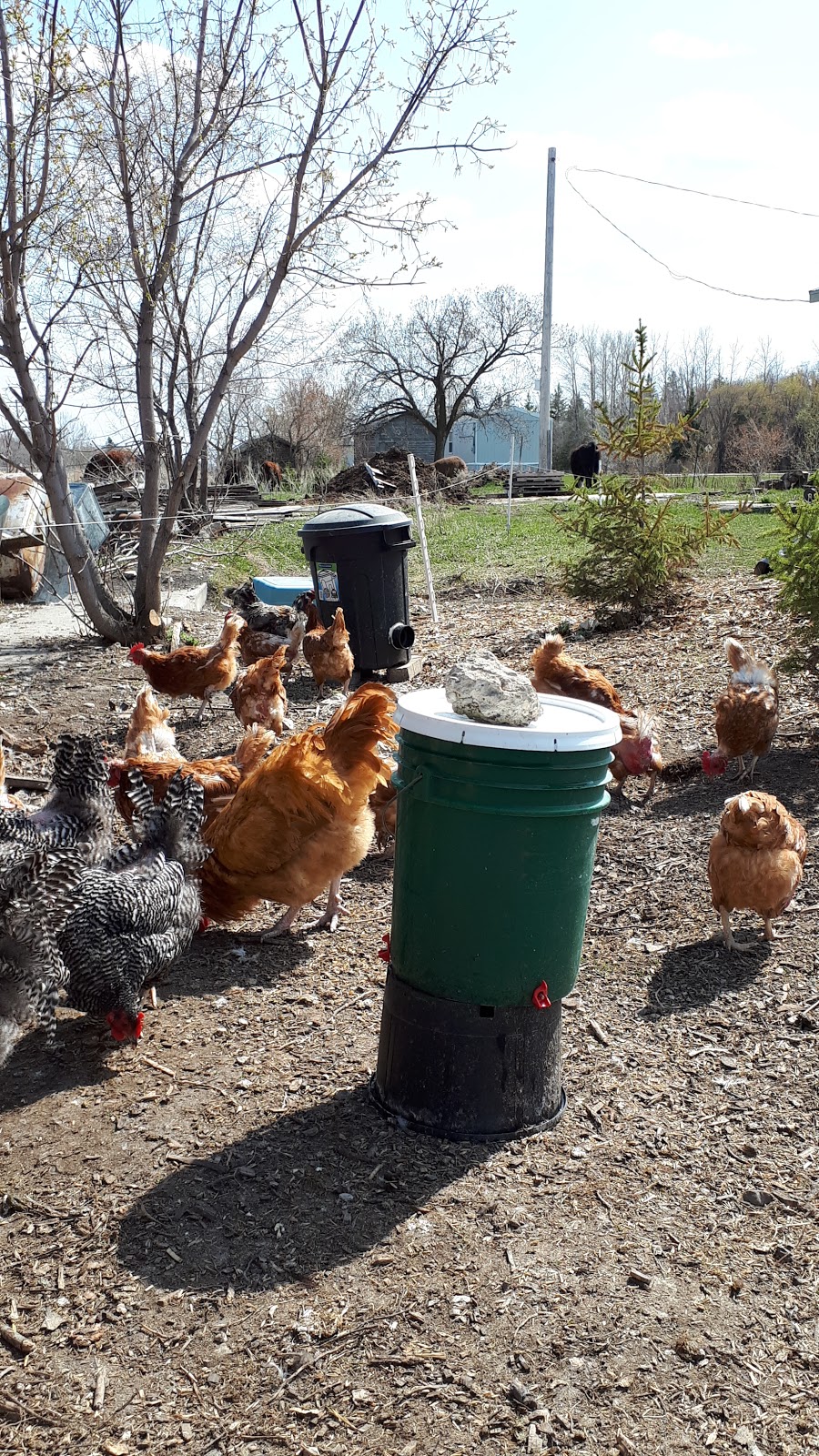 Living Well Farm | 2303 Hallama Dr, Winnipeg, MB R2N 4N9, Canada | Phone: (204) 296-7791