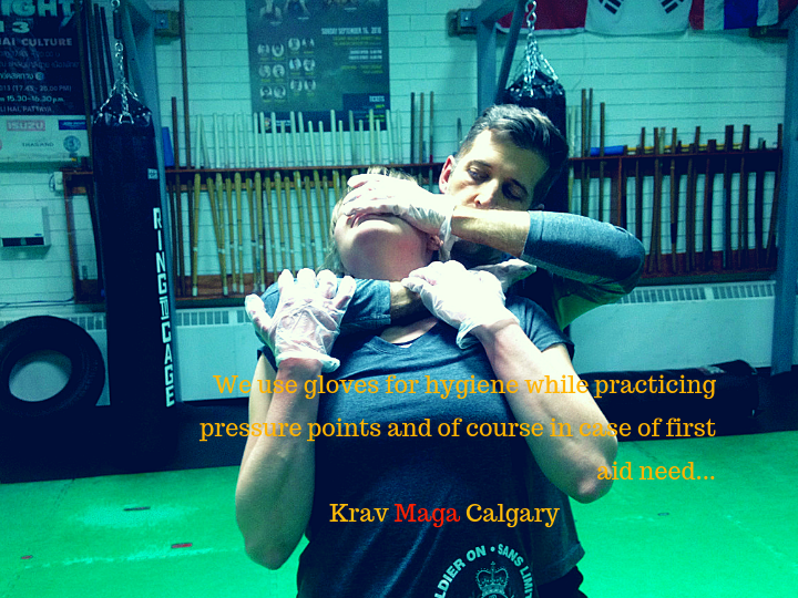 Krav Maga Calgary | 2633 Hochwald Ave SW, Calgary, AB T3E 7K2, Canada | Phone: (403) 493-4886