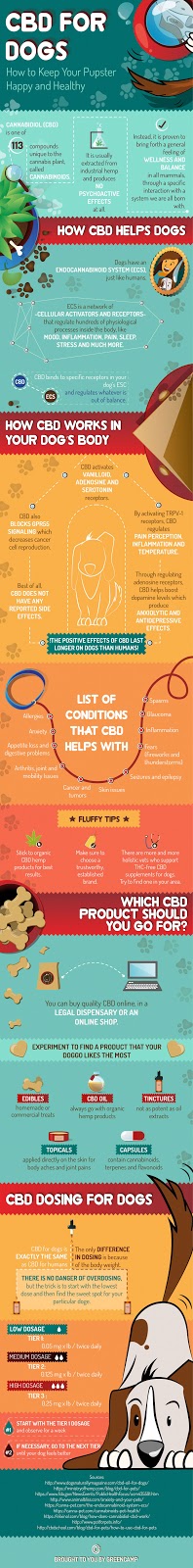 CBD Oil for Health | 26 Kincora St NW, Calgary, AB T3R 0N4, Canada | Phone: (403) 462-6624