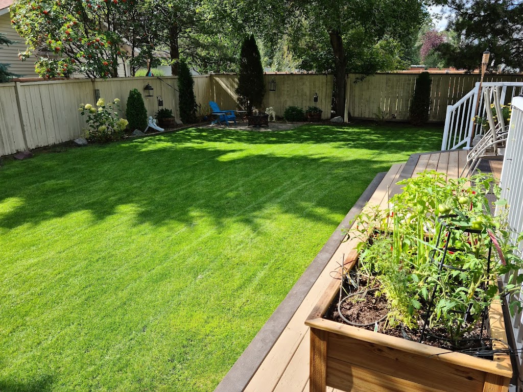 Green Drop Lawns Ltd | point of interest | 21130 108 Ave NW, Edmonton, AB T5S 1X4, Canada | 8776473366 OR +1 877-647-3366