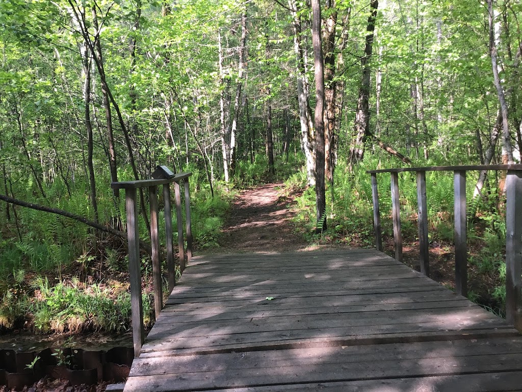 Petawawa Terrace Provincial Park | 17 Sunset Crescent, Petawawa, ON K8H 2L8, Canada | Phone: (613) 757-2103