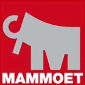 Mammoet Canada Western Ltd | 12920 33 St NE, Edmonton, AB T6S 1H6, Canada | Phone: (780) 449-0552