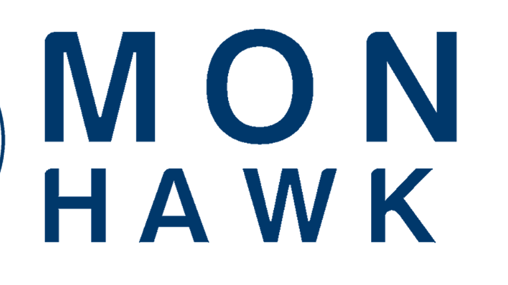 Money Hawk 4U | 35 Balmoral Dr, Brampton, ON L6S 3R2, Canada | Phone: (905) 499-0343