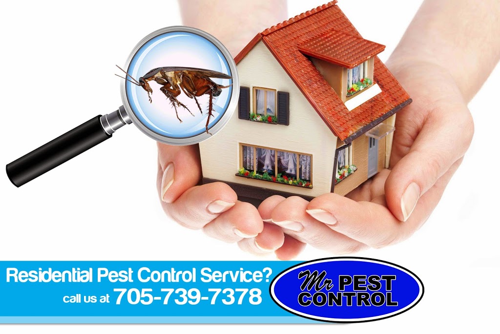 Mr Pest Control | 6 Maplehill Dr, Shanty Bay, ON L0L 2L0, Canada | Phone: (705) 739-7378