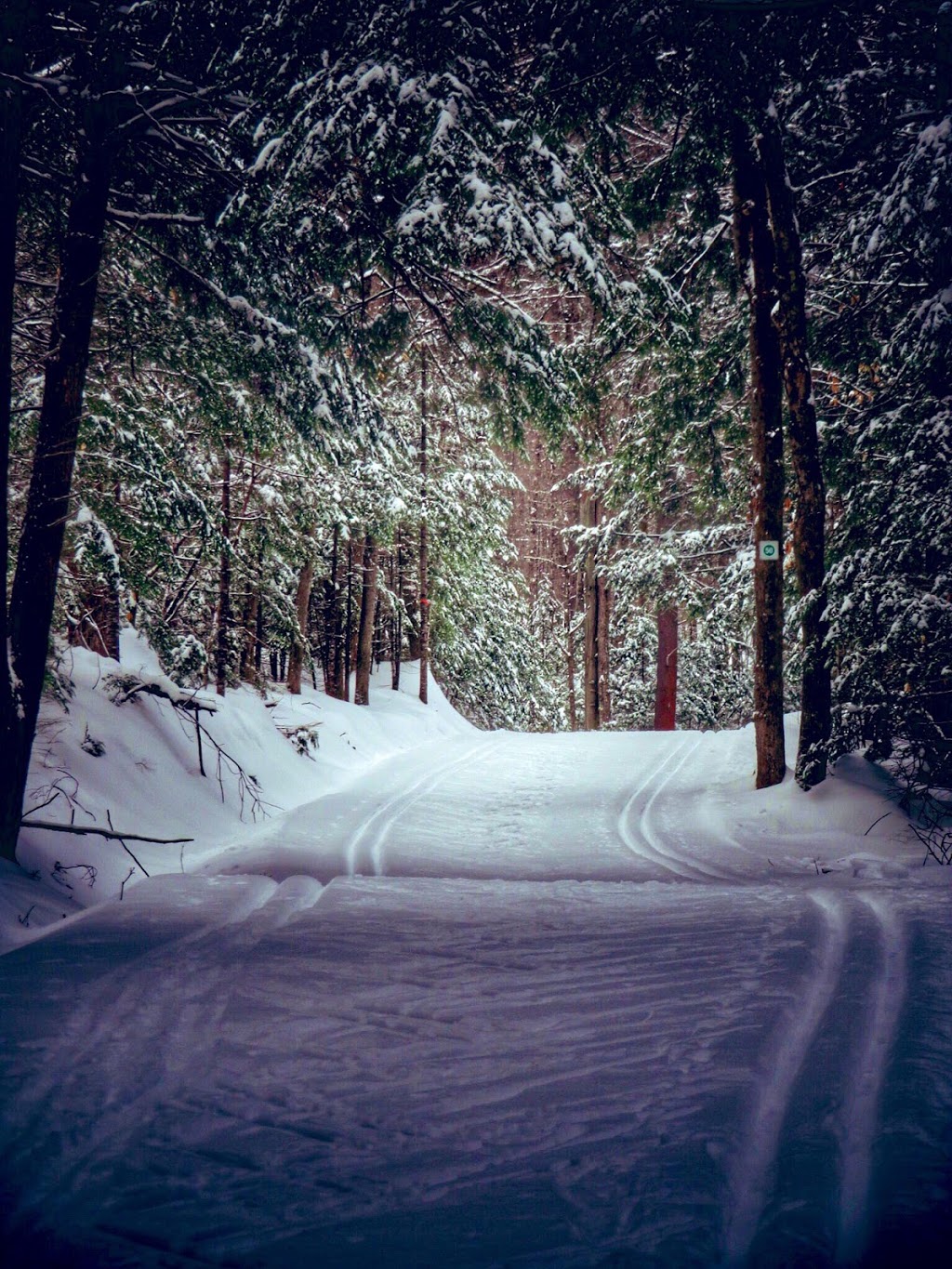 Gatineau Park | Trail 50, Pontiac, QC J0X 2G0, Canada | Phone: (819) 827-2020