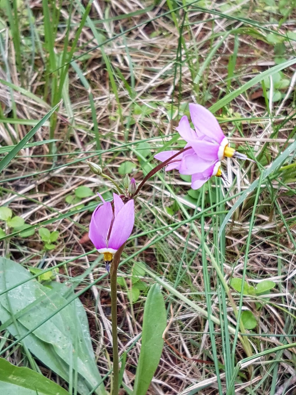 Wagner Natural Area | 30531 118 Ave., Acheson, AB T7X 6M5, Canada