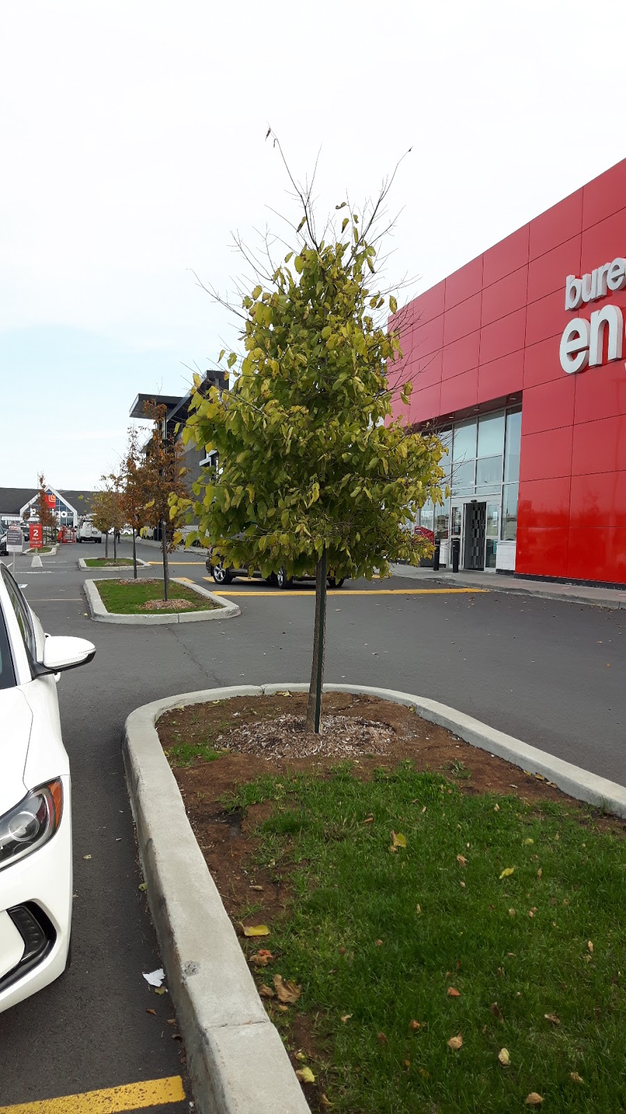 Bureau en Gros | 16908 Transcanadienne, Kirkland, QC H9H 0C5, Canada | Phone: (514) 694-5578