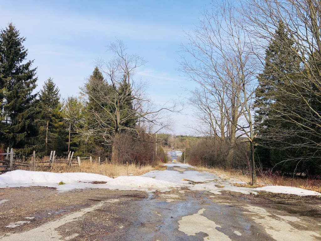 Hiking Trail | Conservation Rd, Guelph/Eramosa, ON N1H 6J1, Canada