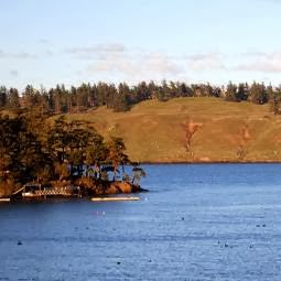 Island Group Sothebys International Realty | 1 Spring St, Friday Harbor, WA 98250, USA | Phone: (360) 378-2151