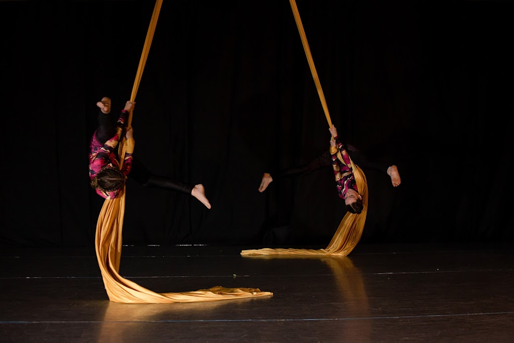 Apex Dance Industry | 142 Kendall St, Point Edward, ON N7V 4G5, Canada | Phone: (519) 330-1625