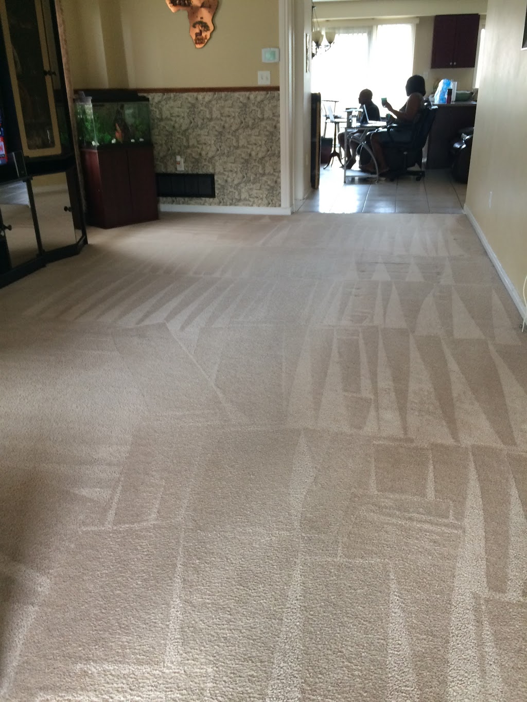 Stay Clean GTA | 7091 Chatham Ct, Mississauga, ON L5N 8R1, Canada | Phone: (416) 898-3788
