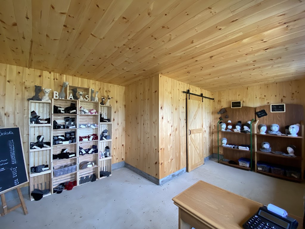 Alpagas Beleska | 6905 Rte Principale, Grand-Saint-Esprit, QC J0G 1B0, Canada | Phone: (819) 448-2661