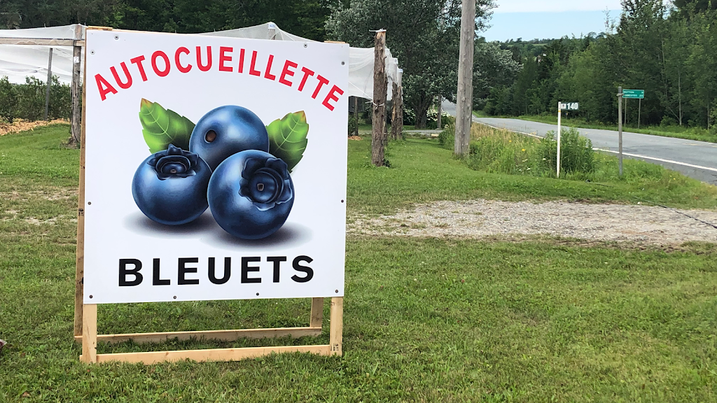 Bleuetière chez Lulu | 140 Rue Desrivières, Saint-Camille, QC J0A 1G0, Canada | Phone: (819) 577-5056