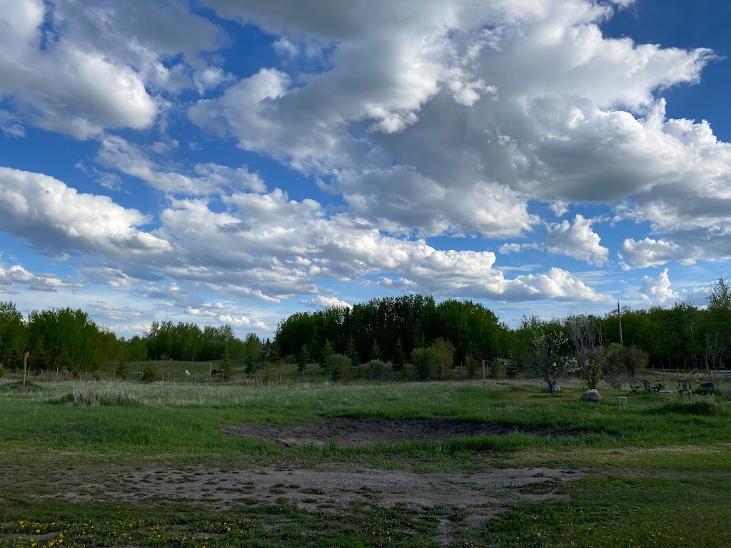 Cooking Lake Lapidary | 51517 RR221, Sherwood Park, AB T8E 1H1, Canada | Phone: (780) 940-1274