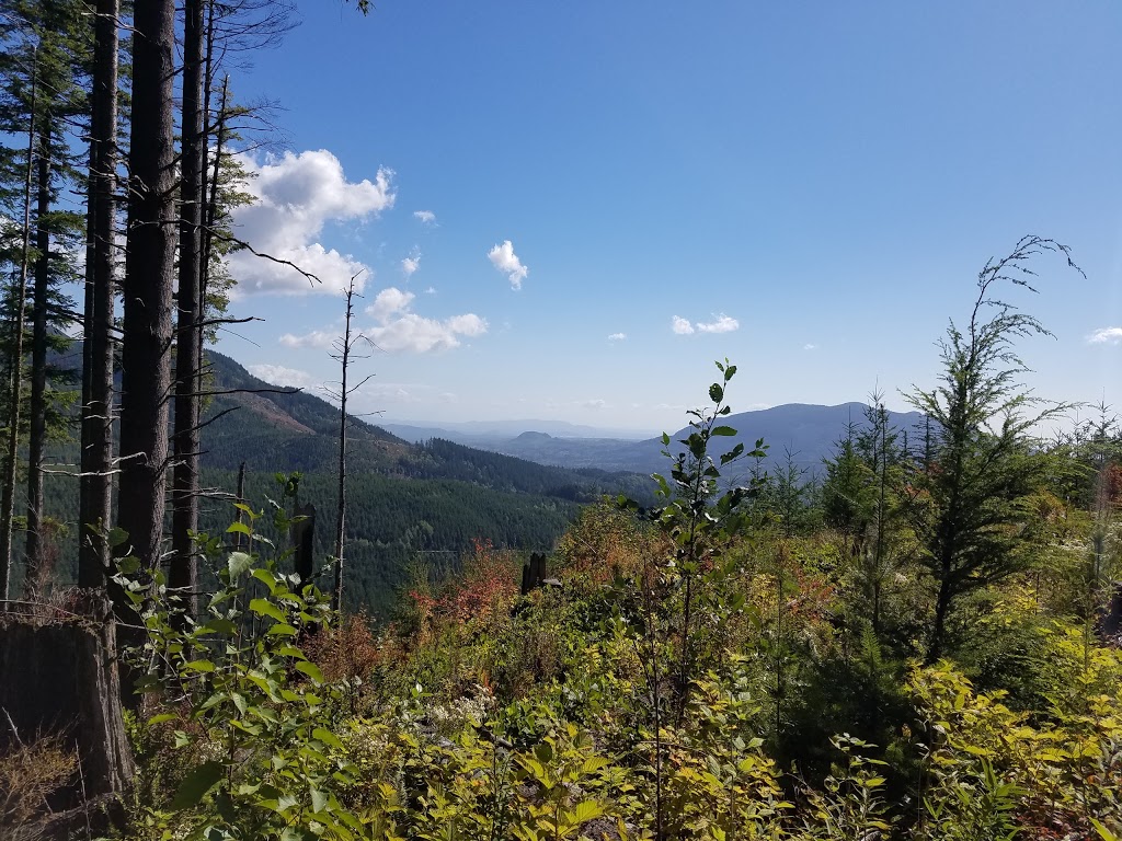 Galbraith Mountain | Tower Rd, Bellingham, WA 98229, USA | Phone: (360) 778-7000