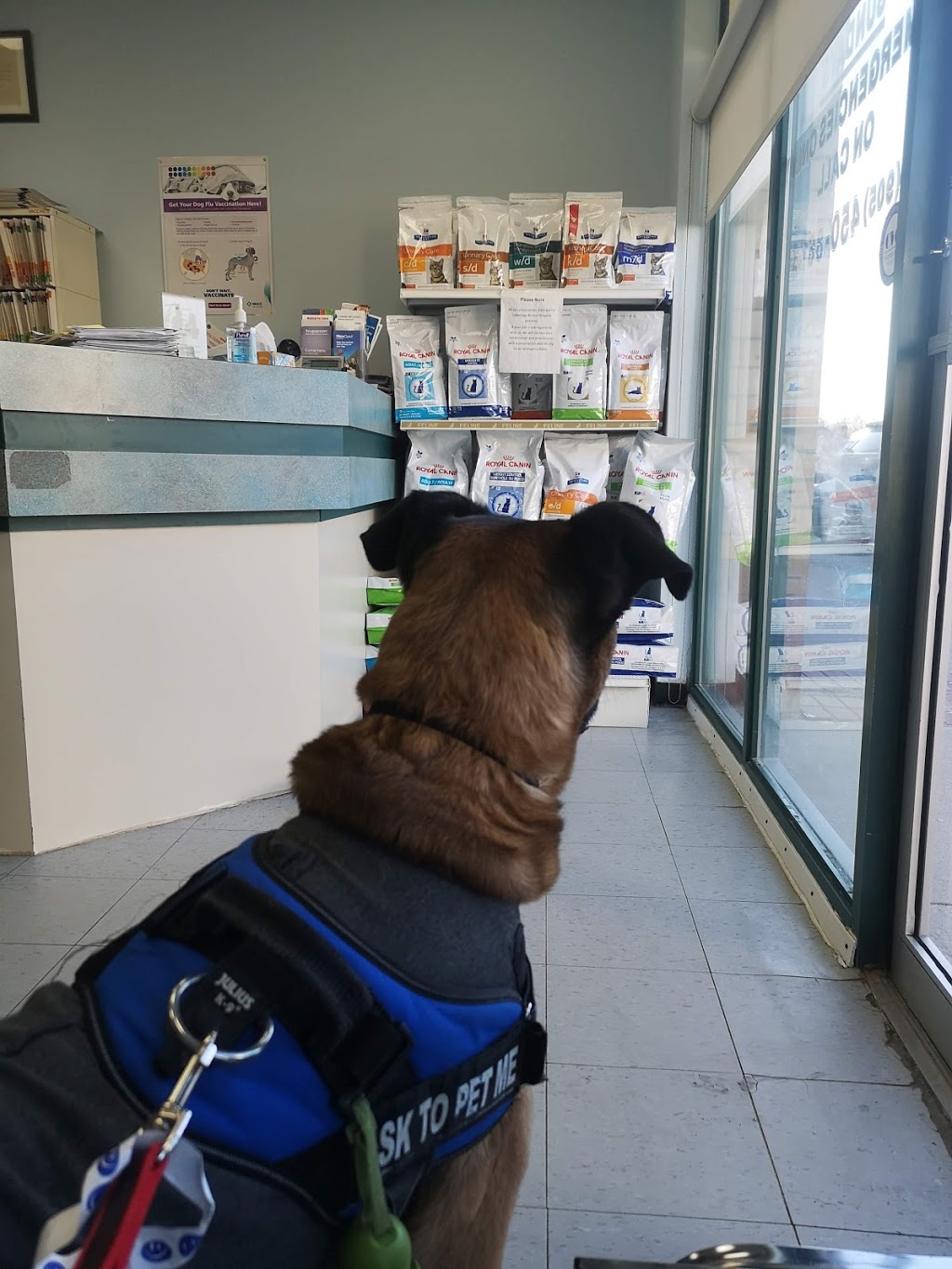 Lakeridge Animal Hospital | 456 Vodden St E, Brampton, ON L6S 5Y7, Canada | Phone: (905) 450-8614