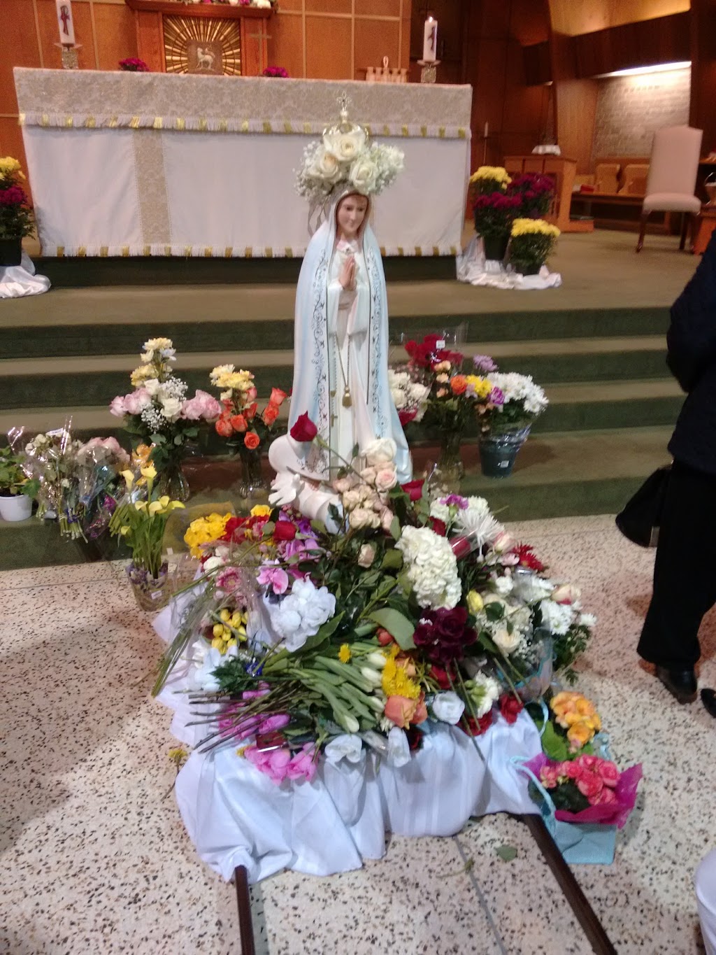 St. Thomas More Catholic Church | 6548 Dorchester Rd, Niagara Falls, ON L2G 5T5, Canada | Phone: (905) 356-7533