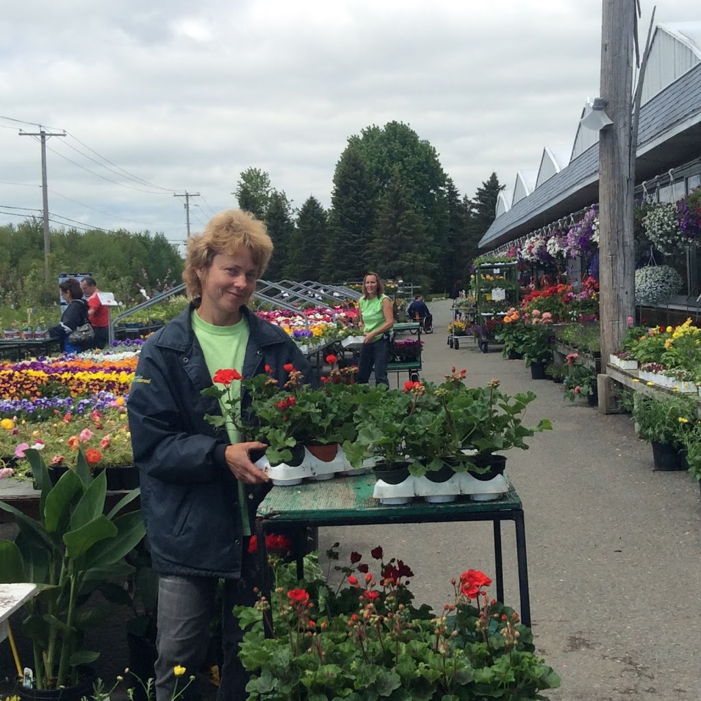 Serres Oasis | 20 Route 116, Saint-Christophe-dArthabaska, QC G6R 0S1, Canada | Phone: (819) 357-4444
