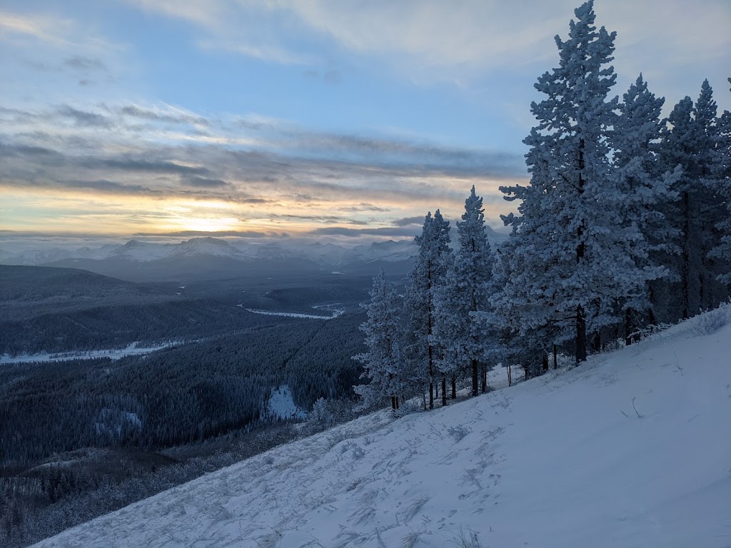 trembling aspen retreat | 265107 Richards Rd, Alberta T4C 1B6, Canada | Phone: (403) 471-0809