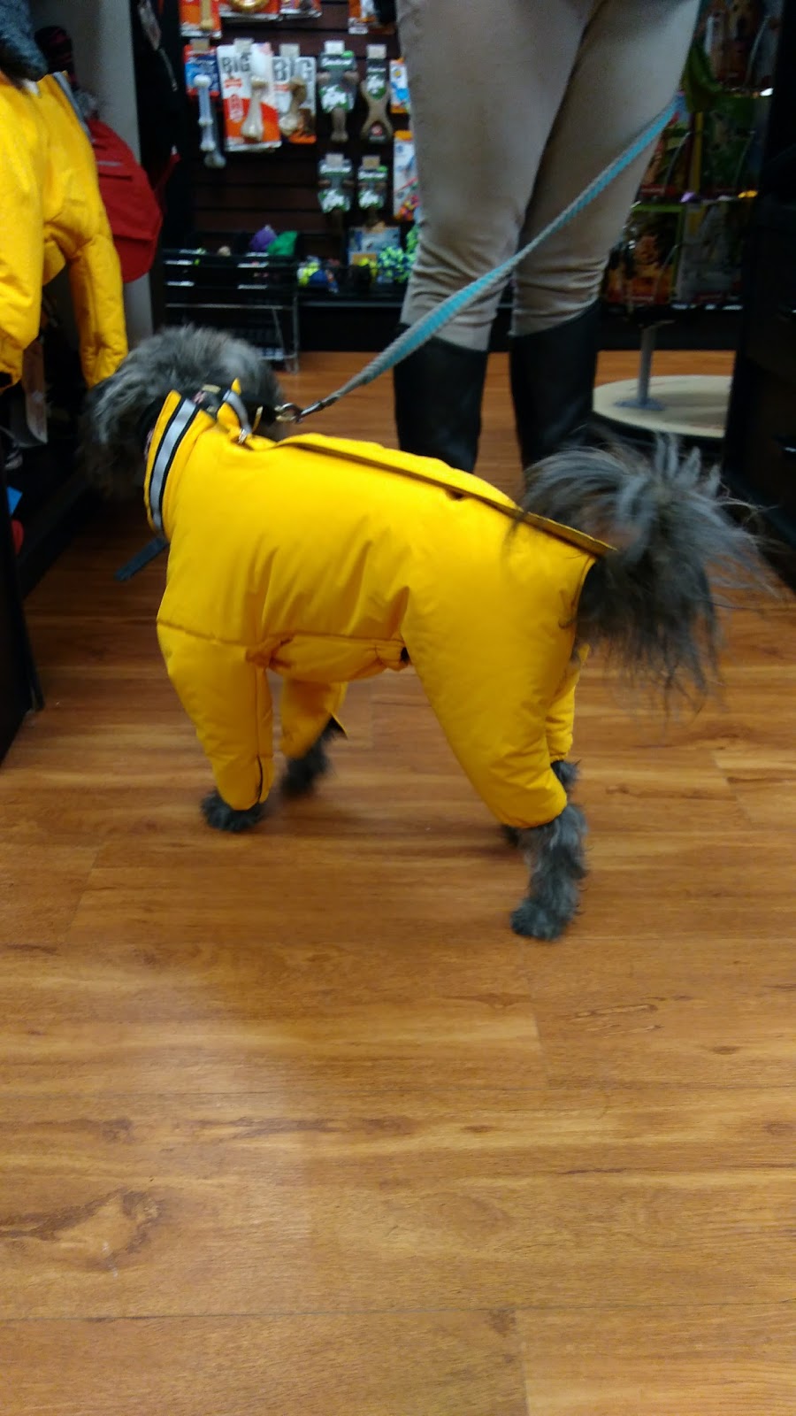 Paulmacs Pets | 144 Queen St, Lakefield, ON K0L 2H0, Canada | Phone: (705) 652-8377