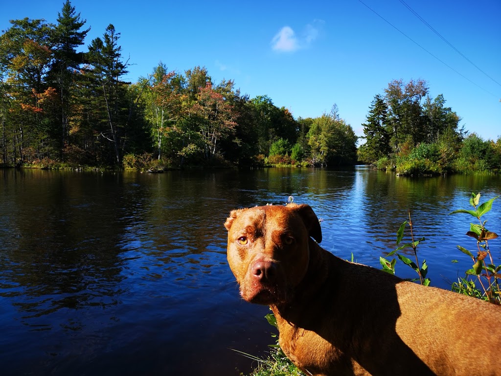 Salmon Hole dam | 676 Salmon Hole Dam Rd #170, Newport, NS B0N 2A0, Canada