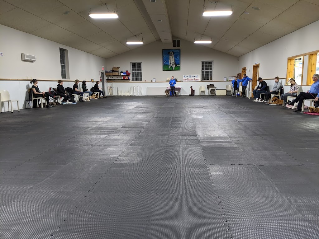 McCann Professional Dog Trainers | Brock Road, Hamilton, ON L9H 5E4, Canada | Phone: (905) 659-1888
