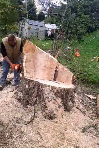 Amazing Tree Trimming Services Inc | 700 ON-6, Caledonia, ON N3W 1M6, Canada | Phone: (905) 630-4177