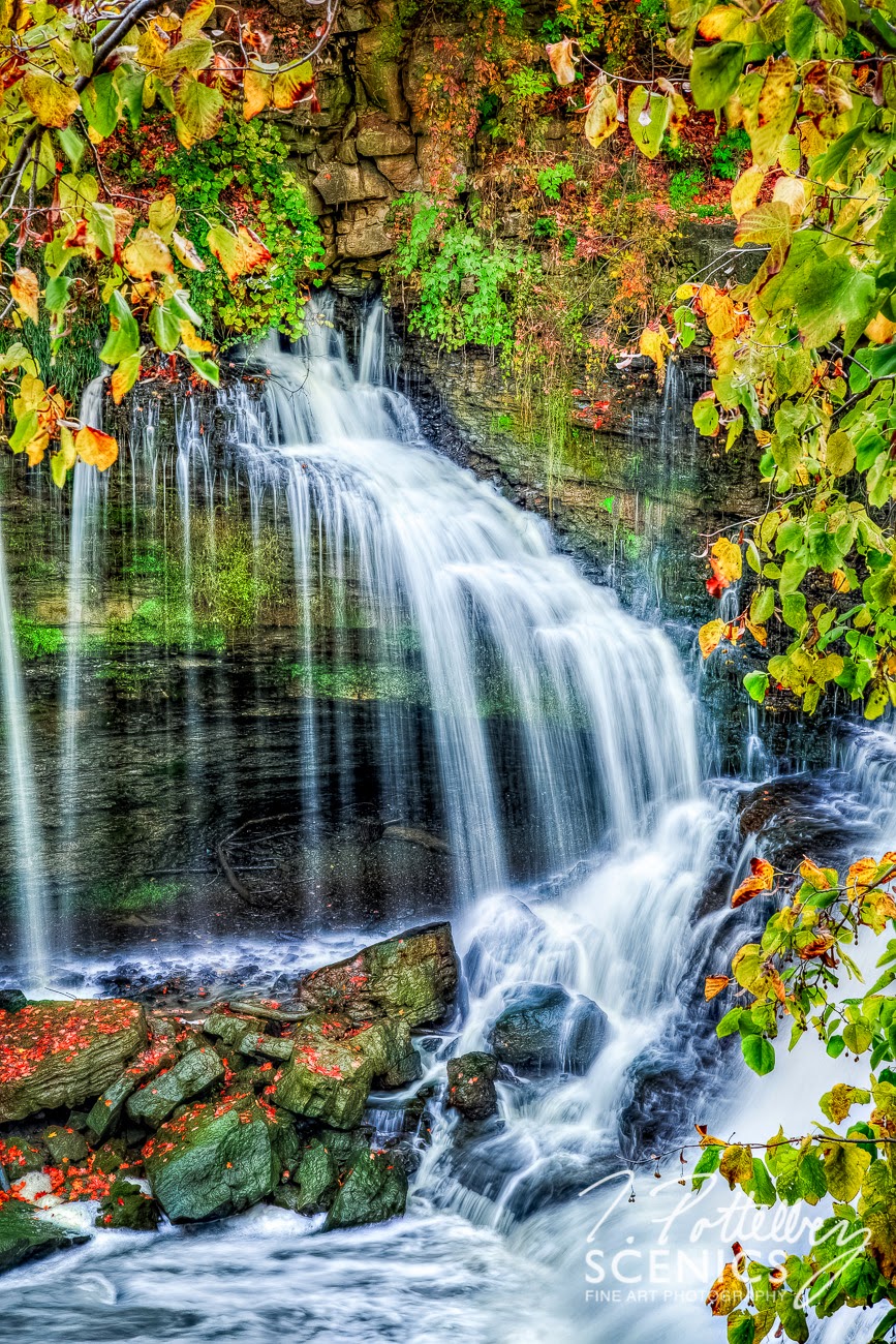 Trevor Pottelberg Photography | 292230 Culloden Line, Brownsville, ON N0L 1C0, Canada | Phone: (519) 933-8999