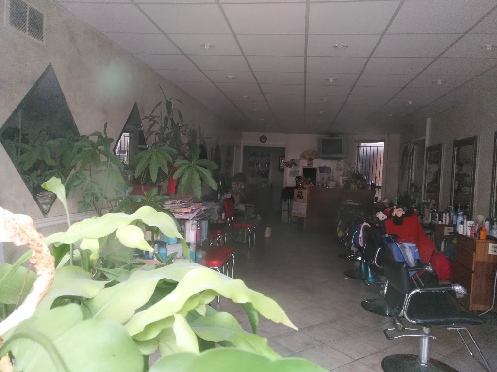 Dream Cuts Hair Salon | 1052 Gerrard St E, Toronto, ON M4M 1Z8, Canada | Phone: (416) 406-6375