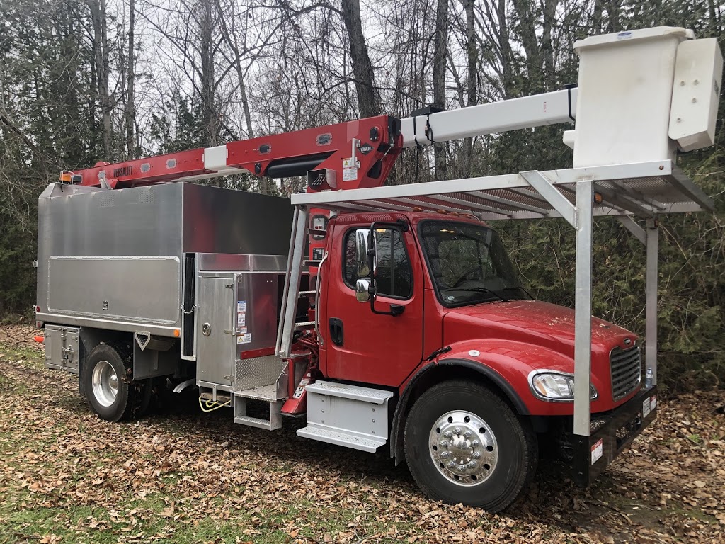 Lyles Tree Service | Thomas Rd, Colborne, ON K0K 1S0, Canada | Phone: (905) 355-5252