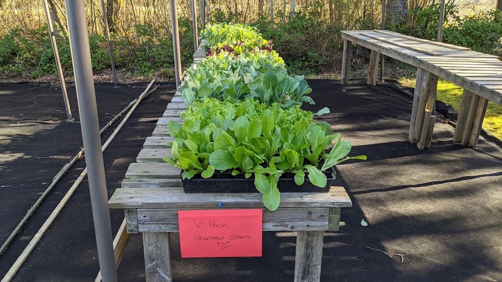 Pattison Farms | 2124 Dzini Rd, Black Creek, BC V9J 1H1, Canada | Phone: (250) 897-2510