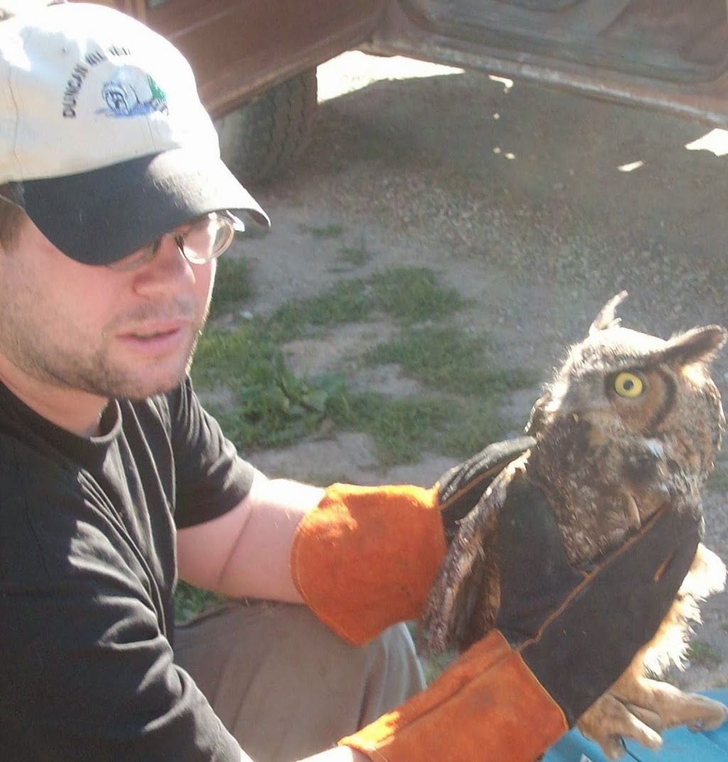 Duncan Wildlife Control | 208 Queen St, Atwood, ON N0G 1B0, Canada | Phone: (519) 356-2095