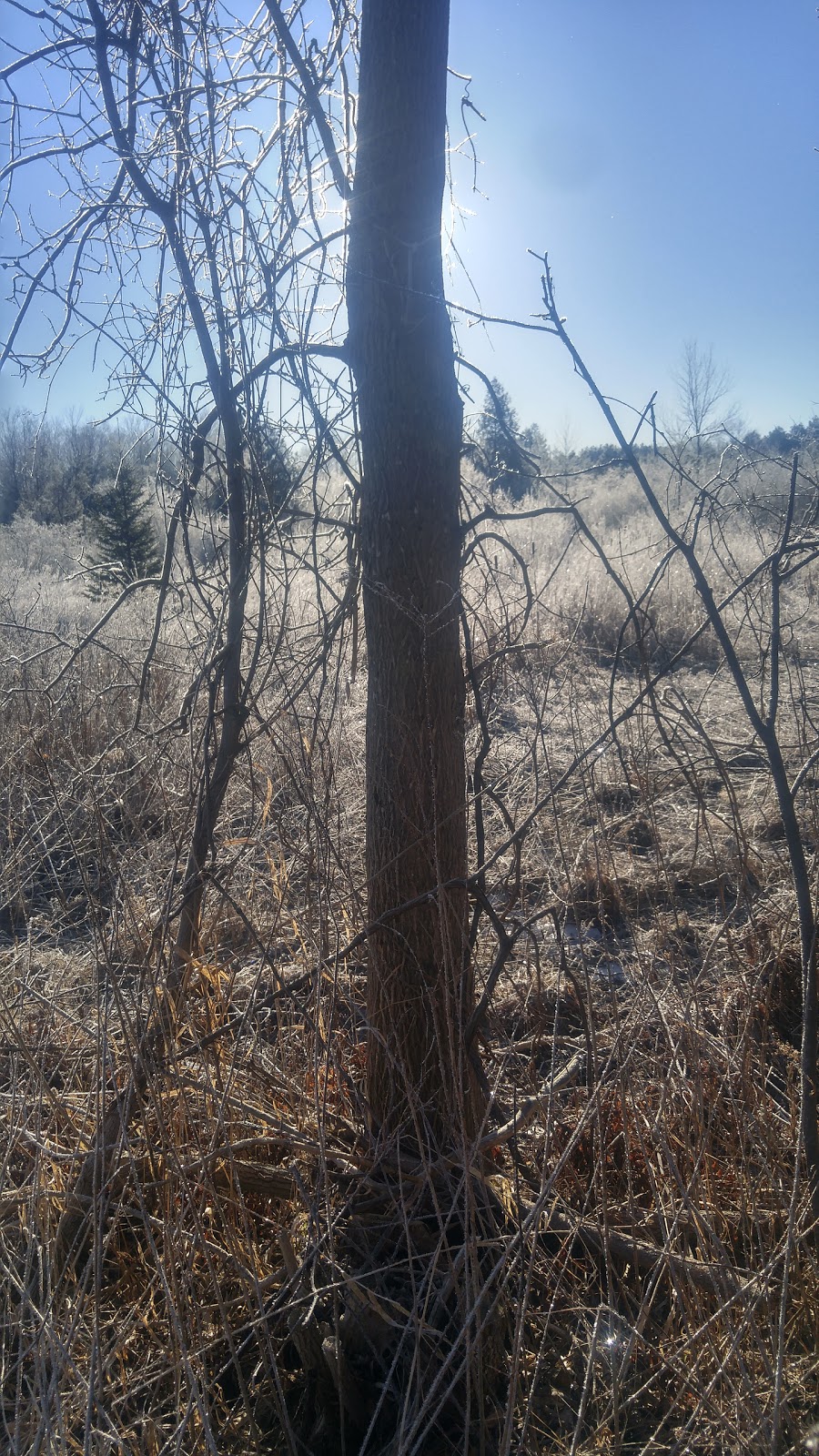 Grange Public Land | 32 Cardwell St, Alton, ON L7K 0E2, Canada