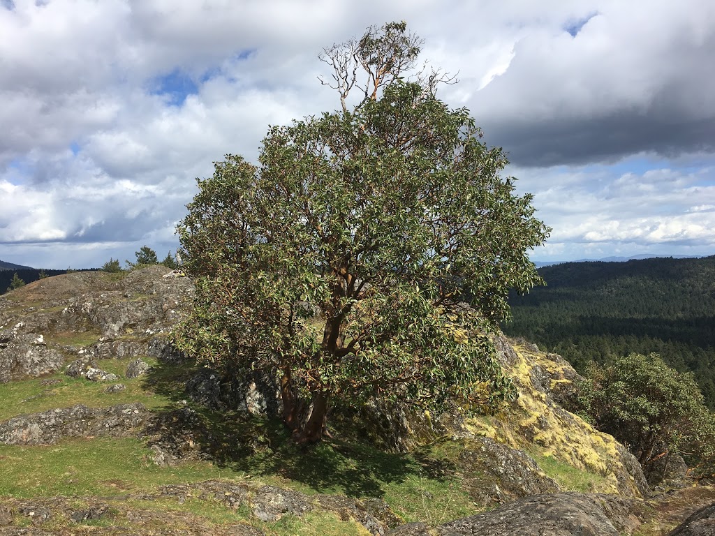 Lone Tree Hill | 1450 Millstream Rd, Victoria, BC V9B 6G1, Canada