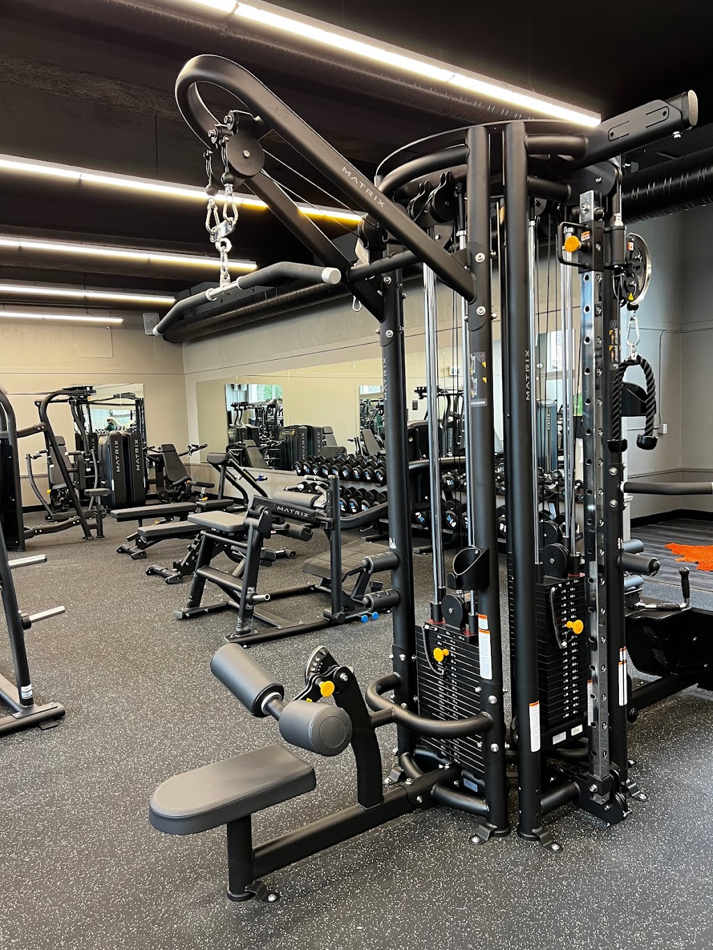 Taurus Fitness | 1763 Bellevue Ave, West Vancouver, BC V7V 1A8, Canada | Phone: (604) 281-2881