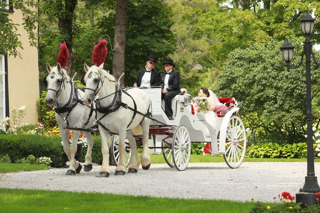 Northbrook Farm Weddings | 3952 Fairgrounds Rd, Severn, ON L3V 0Y2, Canada | Phone: (705) 326-1955