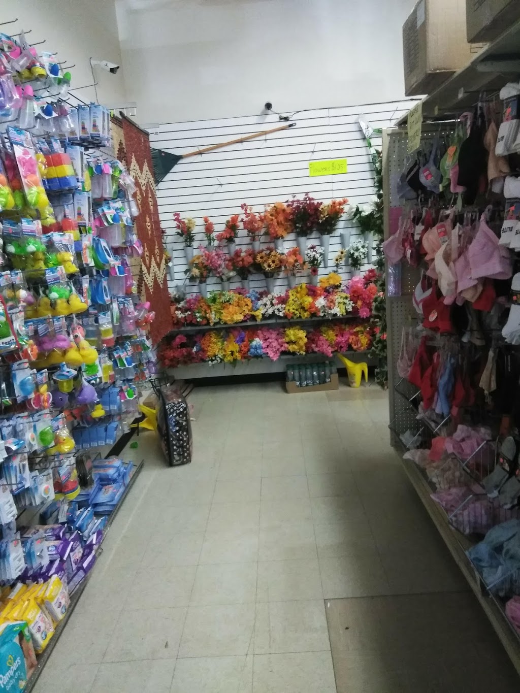 Delhi Dollar & Bargain Shop | 80 Church St W, Delhi, ON N4B 1V8, Canada | Phone: (519) 582-3285